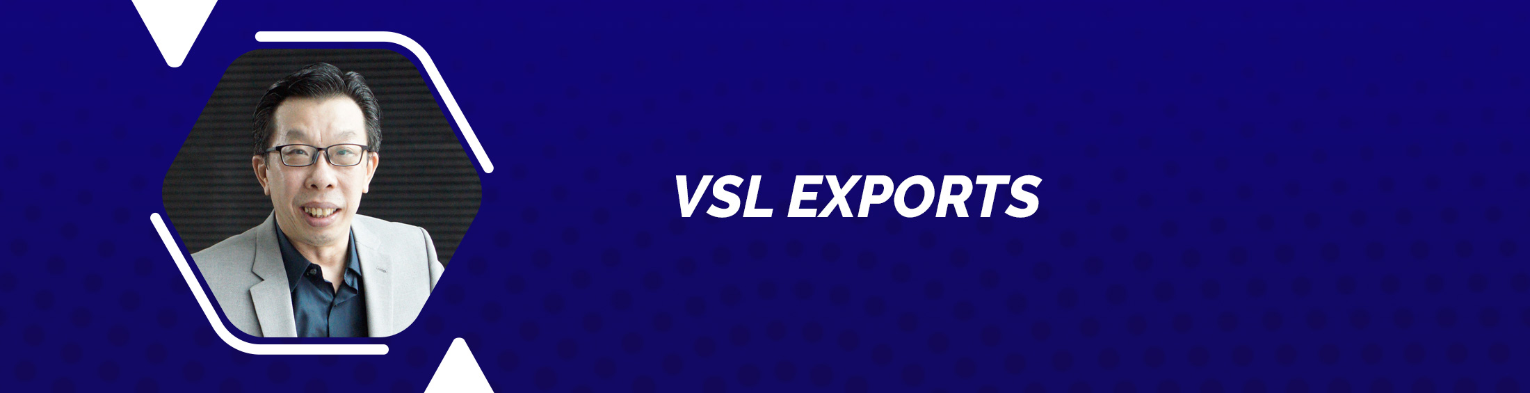 vsl-exports